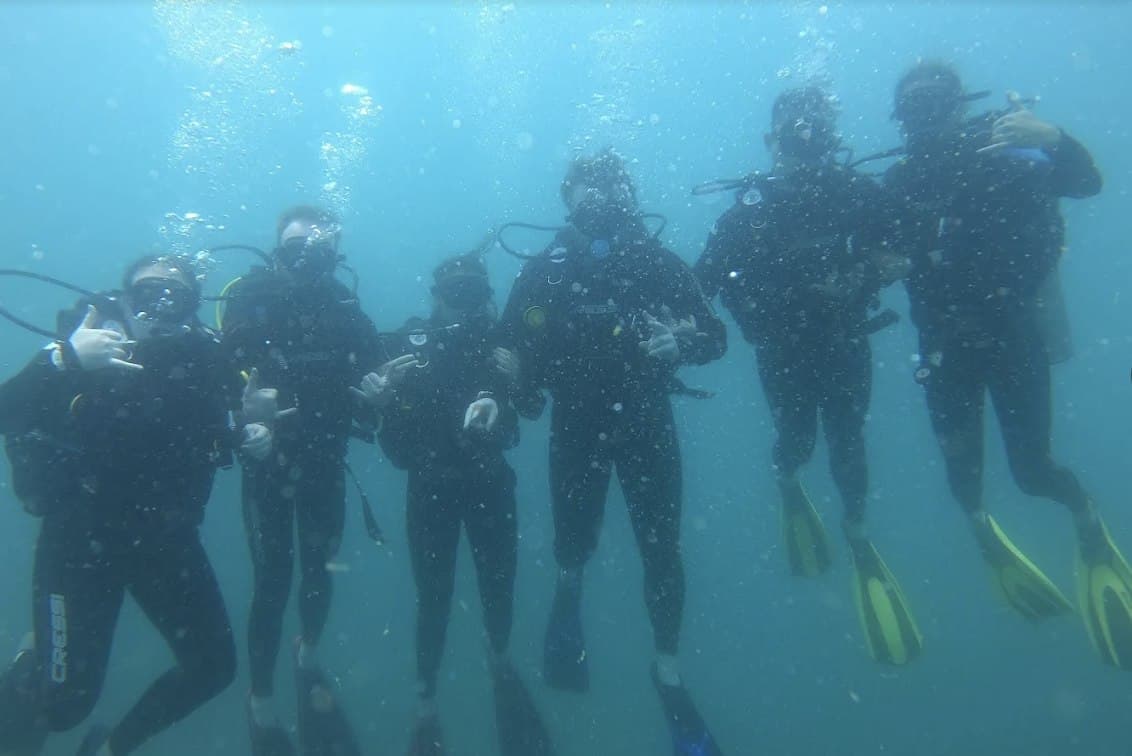 Cham Island Diving Center, Diving & snorkeling, Cham Island