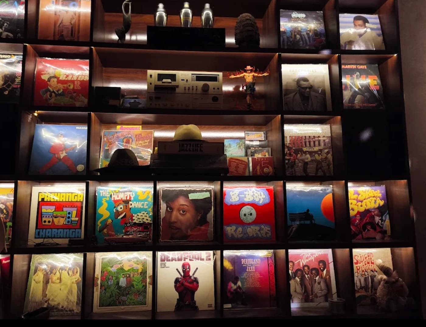 Vinyl & Live Music