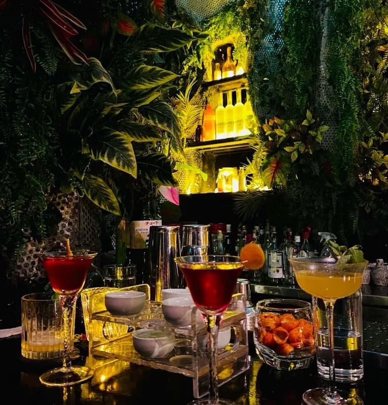 Three cocktails and small bowls on the bar at Ket High Cocktail Bar, in front of a wall of plants