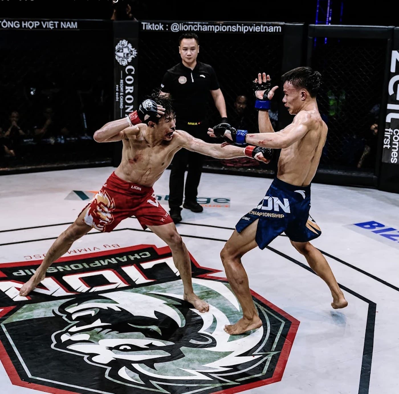 MMA Gym Đà Nẵng, competing at Lion Championship