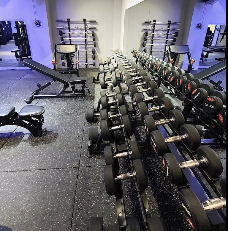 mobifit360 Gym & Fitness, các giá tạ tay dọc sàn tập