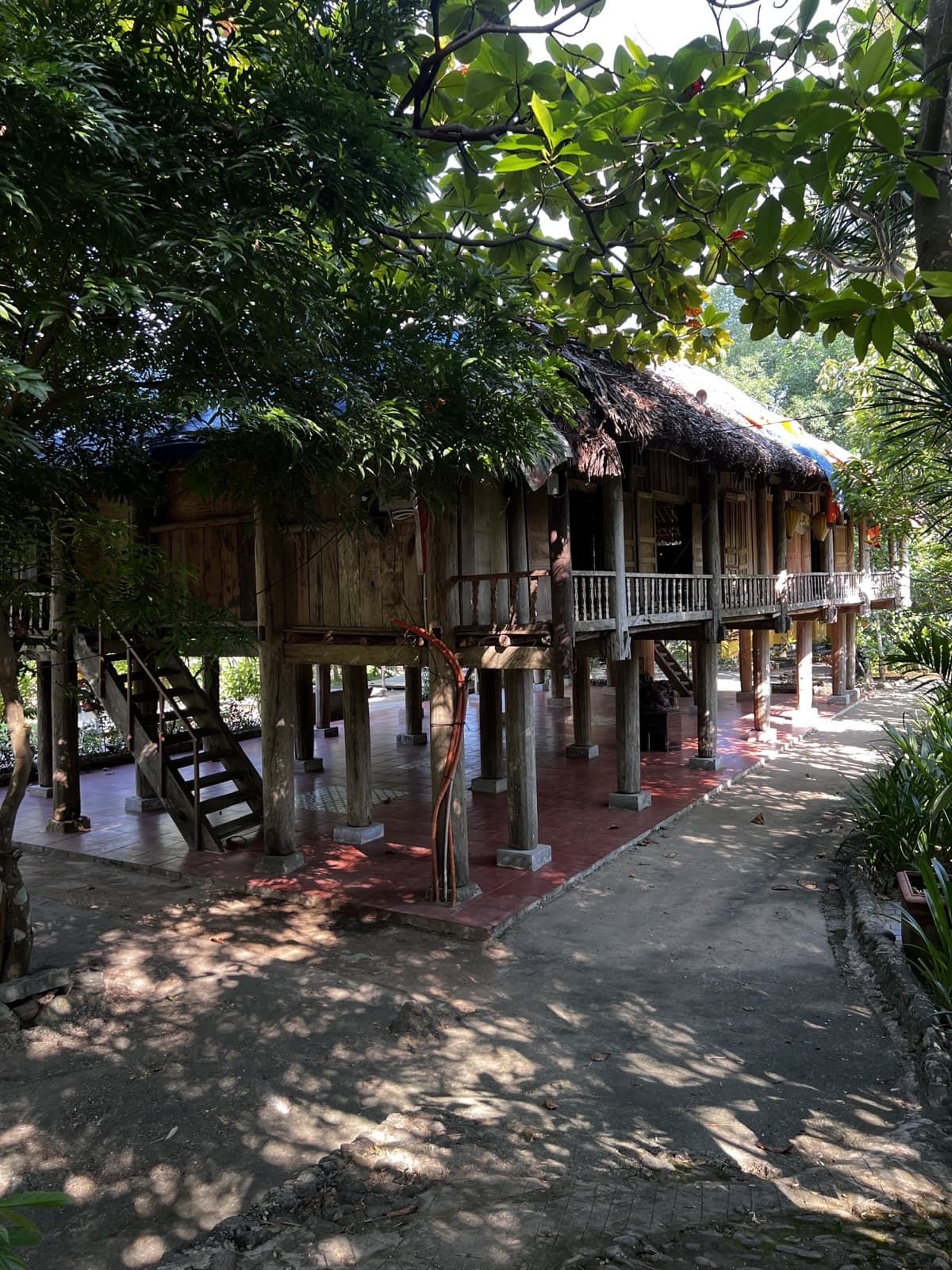 Suối Lương Hải Vân Park, a long wooden stilt house with a thatched roof under the trees