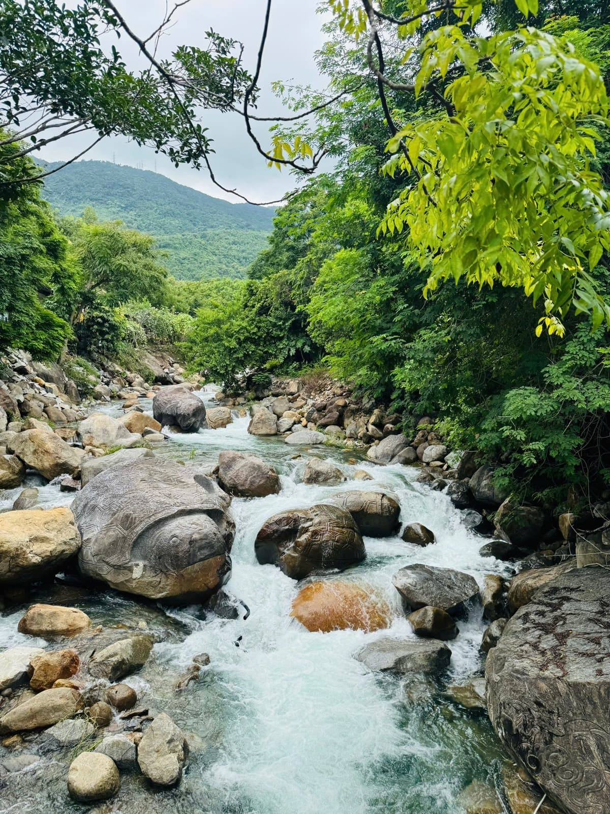 Suối Lương Hải Vân Park, lưu trú ở Đà Nẵng