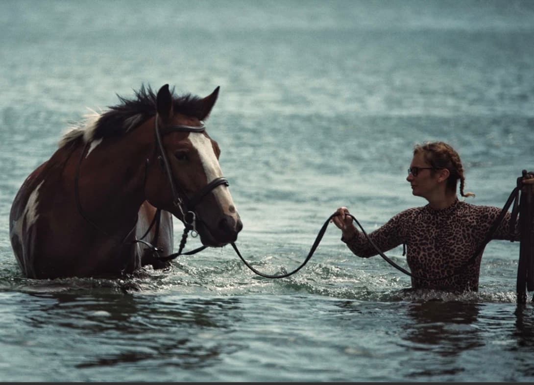 Vietnam Equestrian Club, a woman leading a brown and white horse through the sea, the water up to the horse's chest