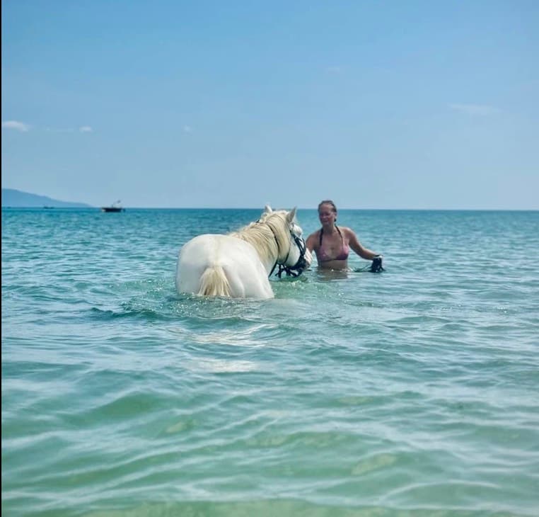 Vietnam Equestrian Club, a white horse swimming in clear blue sea, with a woman in the water beside it