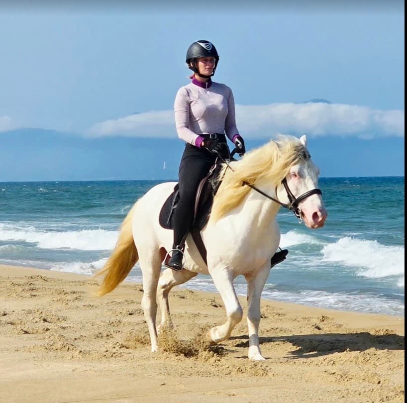 Vietnam Equestrian Club, a rider in a helmet on a white horse on the beach, with waves behind