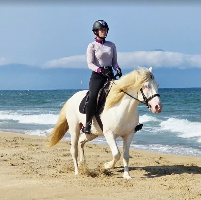 Vietnam Equestrian Club