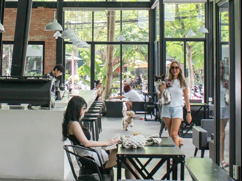 XLIII Coffee, Specialty coffee, Da Nang